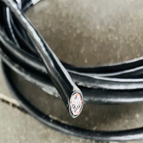 IMG_1239.jpg IMG_1239.jpg