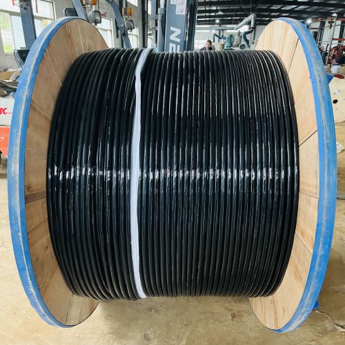 IMG_3182.jpg IMG_3182.jpg