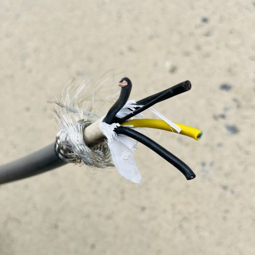 IMG_4450.jpg IMG_4450.jpg