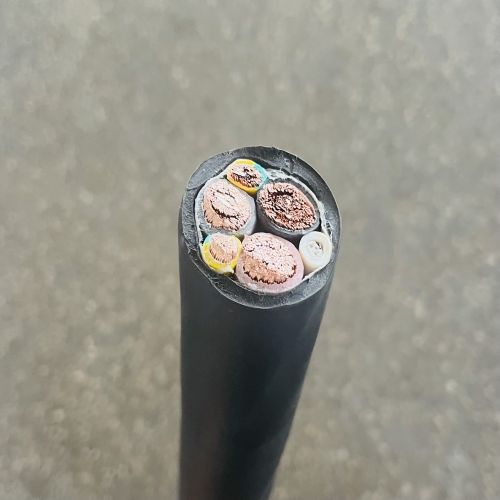 IMG_5301.jpg IMG_5301.jpg