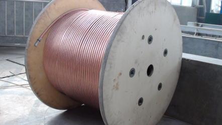 201703131816263920 201703131816263920