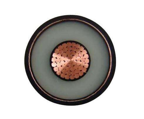 201703151436027596 201703151436027596