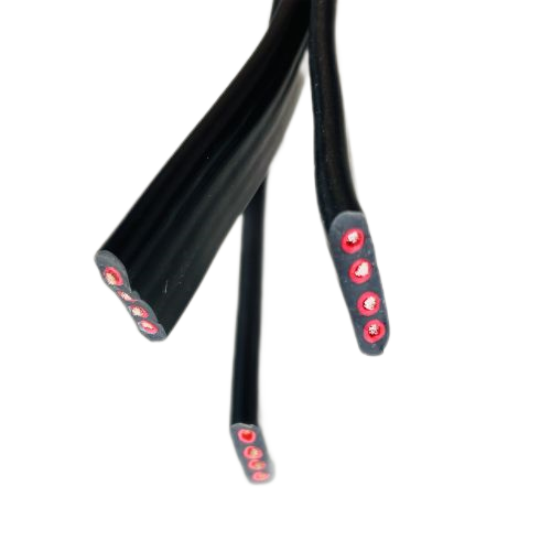 202411201655079598 202411201655079598