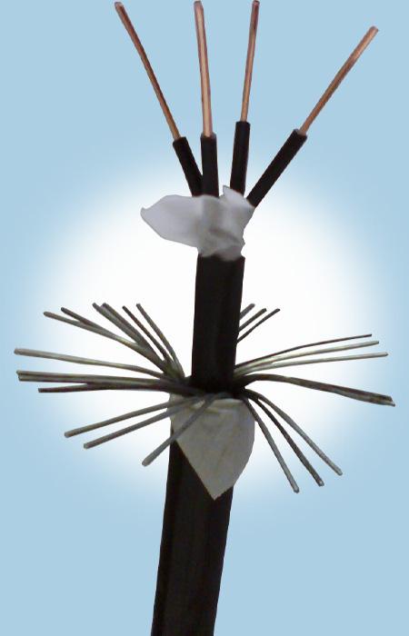 PG���ӡ�(����)��Ϸ������� -pgsoft-games