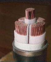 PG���ӡ�(����)��Ϸ������� -pgsoft-games