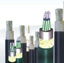 PG电子·(试玩)游戏官网入口 -pgsoft-games