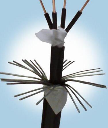 PG���ӡ�(����)��Ϸ������� -pgsoft-games