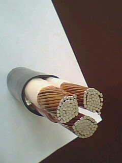 PG电子·(试玩)游戏官网入口 -pgsoft-games