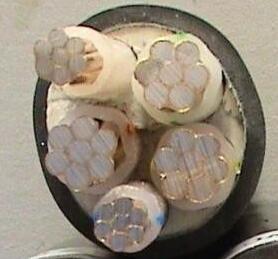 PG���ӡ�(����)��Ϸ������� -pgsoft-games