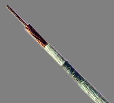 PG电子·(试玩)游戏官网入口 -pgsoft-games