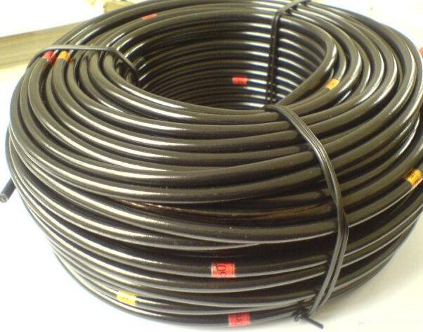 PG���ӡ�(����)��Ϸ������� -pgsoft-games