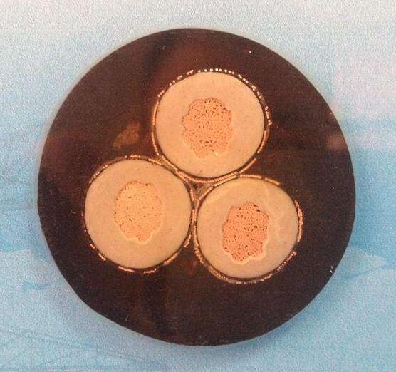 PG电子·(试玩)游戏官网入口 -pgsoft-games