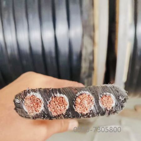 PG���ӡ�(����)��Ϸ������� -pgsoft-games