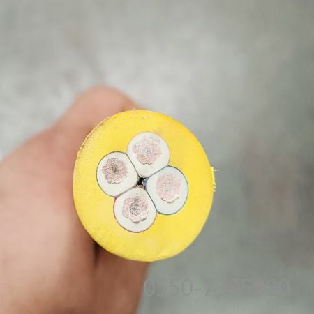 PG���ӡ�(����)��Ϸ������� -pgsoft-games