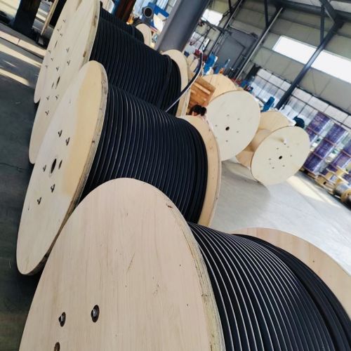 PG���ӡ�(����)��Ϸ������� -pgsoft-games