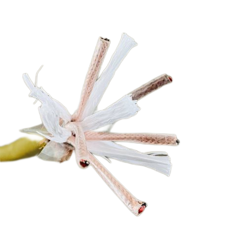 PG电子·(试玩)游戏官网入口 -pgsoft-games