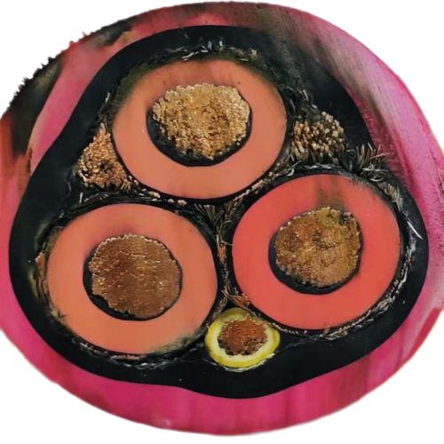 PG电子·(试玩)游戏官网入口 -pgsoft-games