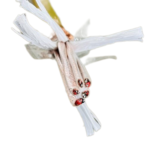 PG电子·(试玩)游戏官网入口 -pgsoft-games