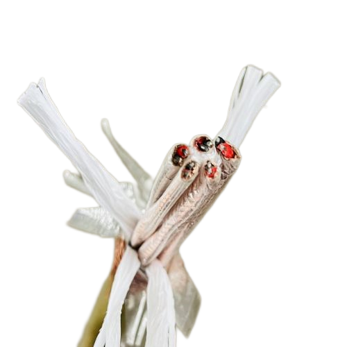 PG电子·(试玩)游戏官网入口 -pgsoft-games