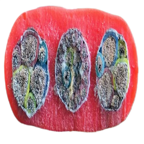 PG电子·(试玩)游戏官网入口 -pgsoft-games