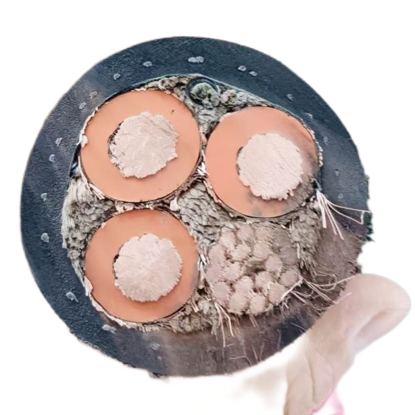 PG电子·(试玩)游戏官网入口 -pgsoft-games