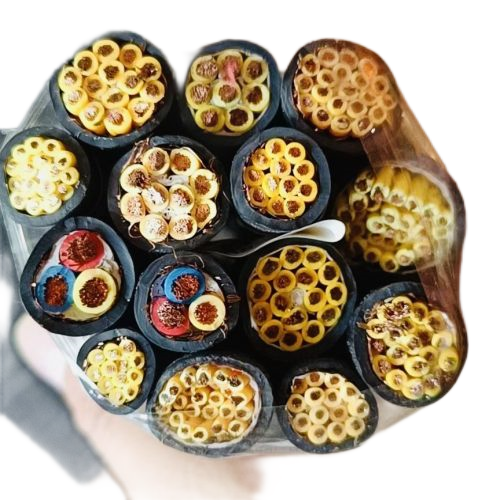 PG���ӡ�(����)��Ϸ������� -pgsoft-games