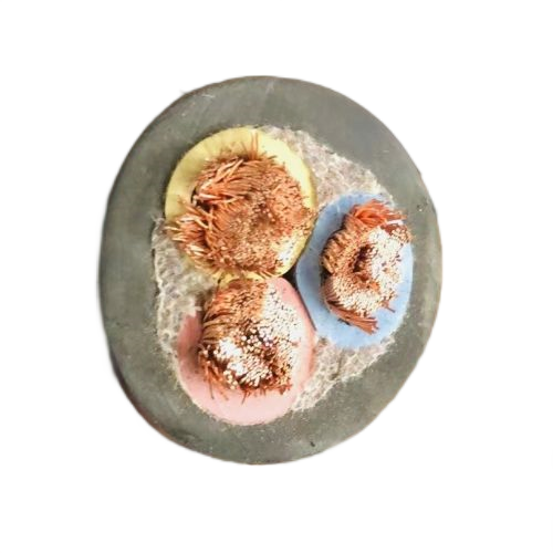 PG���ӡ�(����)��Ϸ������� -pgsoft-games