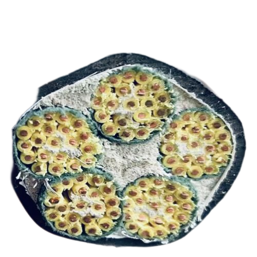 PG电子·(试玩)游戏官网入口 -pgsoft-games