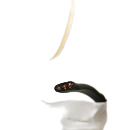 PG���ӡ�(����)��Ϸ������� -pgsoft-games