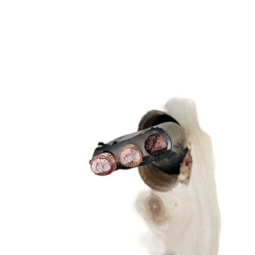 PG���ӡ�(����)��Ϸ������� -pgsoft-games