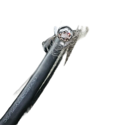 PG电子·(试玩)游戏官网入口 -pgsoft-games