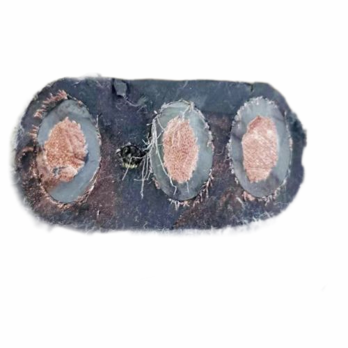 PG电子·(试玩)游戏官网入口 -pgsoft-games