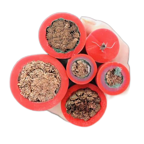 PG电子·(试玩)游戏官网入口 -pgsoft-games