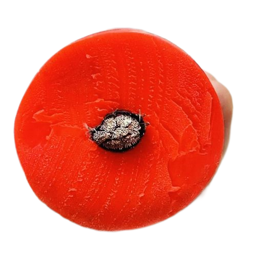 PG���ӡ�(����)��Ϸ������� -pgsoft-games