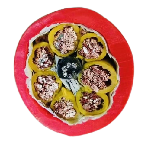 PG电子·(试玩)游戏官网入口 -pgsoft-games