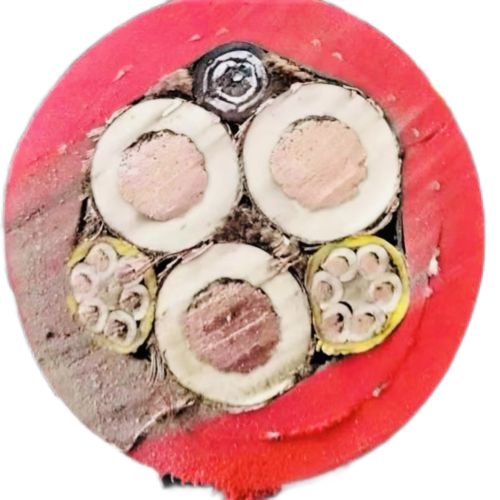 PG电子·(试玩)游戏官网入口 -pgsoft-games