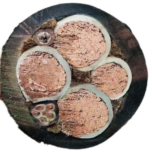 PG电子·(试玩)游戏官网入口 -pgsoft-games