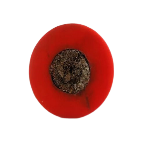 PG电子·(试玩)游戏官网入口 -pgsoft-games